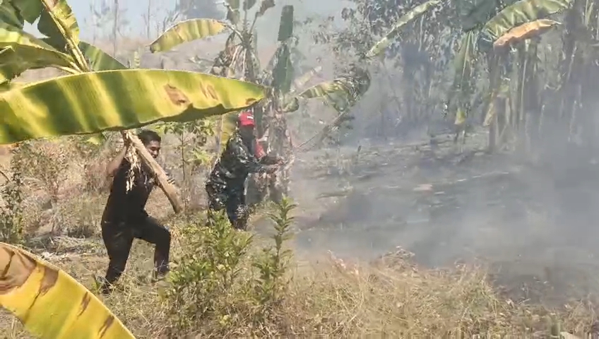 Api Lahap 1 Hektare Kebun di Bontomarannu, Babinsa dan Warga Bergerak Cepat Jinakkan Kobaran