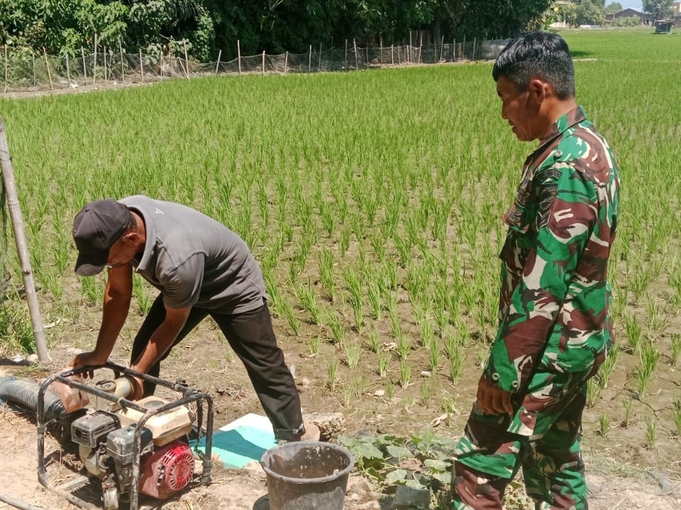 Irigasi Tak Mengalir, Babinsa Bajeng Dampingi Petani Amankan Sawah Lewat Pompanisasi